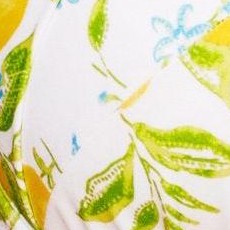 luscious lemons c02