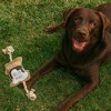 Pavilion Gift Company - S'more - 14.75" Canvas Dog Toy on Rope - Pet Toy - 2 of 4