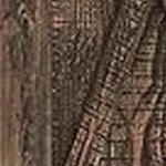 dark oak