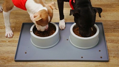 Small Black Silicone Waterproof Dog Food Mat