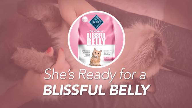 Blue Buffalo True Solutions Blissful Belly with Chicken Digestive Care Adult Dry Cat Food, 2 of 13, play video