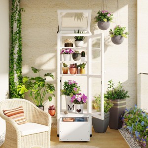 62'' H Natural Fir Wood Garden Greenhouse Balcony Portable Mini Cold Frame With Movable Storage Box And 3-level Adjustable Shelves -Maison Boucle - 1 of 4