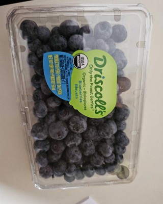 Organic Blueberries - 1pt : Target