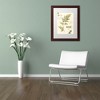 Trademark Fine Art -Lisa Audit 'Ivies and Ferns III' Matted Framed Art - 3 of 4