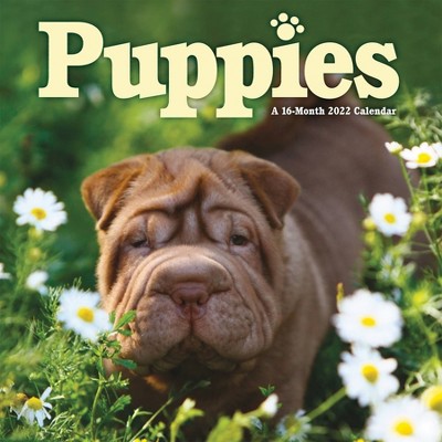 2022 Wall Calendar Puppies - Trends International Inc