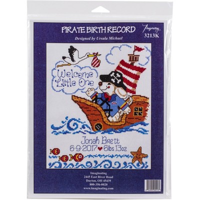 Imaginating Counted Cross Stitch Kit 8"X10"-Pirate Birth Record (14 Count)