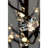 Perfect Holiday 4' Lighted Cherry Blossom Tree - 2 of 2