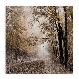 Stupell Industries Sunlit Woodland Nature Trail, 17" x 17" - 1 of 4