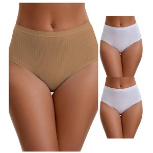 INSPIRE CHIC Women's Cotton High Waist Briefs Breathable Underwear, Available in Plus Size 3 Packs - 1 of 4