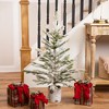 Northlight Flocked Artificial Christmas Tree in Birch Pot - 36" - Unlit - 2 of 4