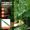 VEVOR 6 Packs Tomato Cages for Garden, 48 inch Tomato Trellis Plant Stakes Support, Stackable Tall Plant Support Cage, for Raised Garden Bed, Green - 4 of 4