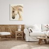Stupell Industries Country Horse Farm Animal Portrait Canvas Art - 3 of 4