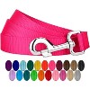 Country Brook Petz 1 Inch Nylon Dog Leash - 2 of 4