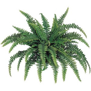 Floral Home 48" Boston Fern with 60 Lifelike Fronds - 4-Piece - 1 of 4
