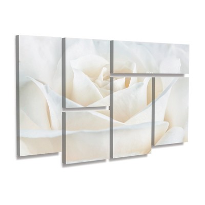Trademark Fine Art -Cora Niele 'Pure White Rose' Multi Panel Art Set