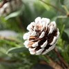 Artificial Pine And Eucalyptus Stem Multicolor 19"H - 2 of 2