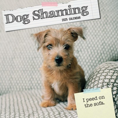 The Gifted Stationery 2025 Square Wall Calendar, Dog Shaming, 16-Month Humor Theme with 180 Reminder Stickers (12 x 12 In)