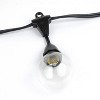 Novelty Lights Globe Outdoor String Lights with 25 suspended Sockets Suspended Black Wire 25 Feet - 3 of 4