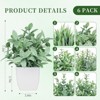 BRINJOY 6-Piece Flocked Eucalyptus Artificial Plants Set - Sage Green Faux Potted Greenery for Modern Home & Office Decor - 3 of 4