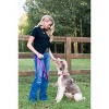 Country Brook Petz American Made Deluxe Nylon Dog Collar - 3 of 4