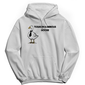 Rerun Island Men's Today I Am A Serious Goose Long Sleeve Graphic Cotton Sweatshirt Hoodie - 1 of 4