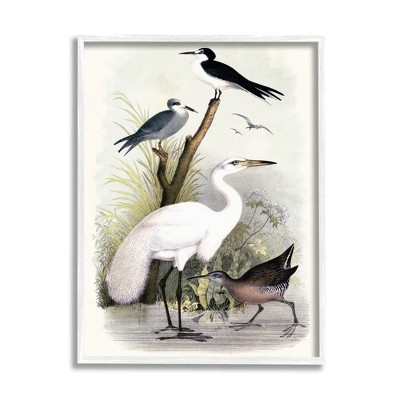Stupell Industries Varied Crane Birds Gathered Riverbank Stream Botanicals Framed Giclee Art