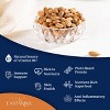 Eastanbul Sweet Raw Apricot Seeds, Sweet Apricot Kernels, 10 oz - 2 of 4