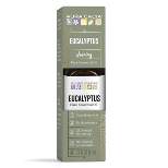 Eucalyptus Essential Oil Single - Aura Cacia