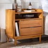 NicBex 2 Drawer Nightstand,Wood Bedside Table with Vertical Open Cubby and Open Shelves for Bedroom,Living Room - 2 of 4