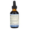 Eclectic Herb Motherwort Extract, 500 mg, 2 fl oz (60 ml) - 2 of 2