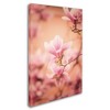 12" x 19" Girls of Spring by Philippe SainteLaudy - Trademark Fine Art: Modern Canvas Wall Decor for All Ages - 2 of 4