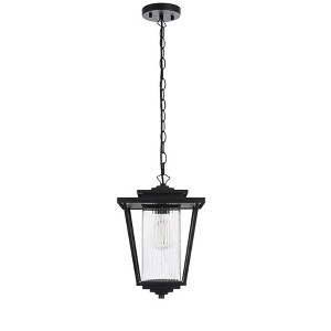 Elegant Lighting York 10 Inch Outdoor Pendant in Black - 1 of 4