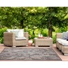 Liora Manne Carmel  Indoor/Outdoor Rug  Black.. - 4 of 4