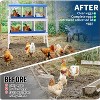 Chicken Nesting Boxes Galvanized Steel Rustproof Egg Laying Box with Egg Collection Systems, Hen Eggs Laying Box, for Chicken House/Duck House/Hen - 3 of 4