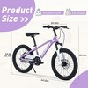 CAVINAS 20 Inch Single Speed Mountain Bike with Double Disc Brake,Steel Bicycle with Suspension Fork for Garden & Outdoor,Purple - 2 of 4