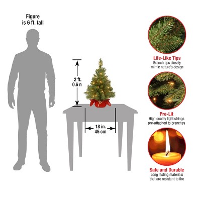 24" Green Fir Tabletop Christmas Tree with Warm White LED Lights