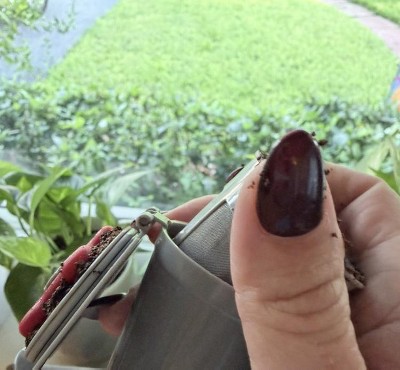 Guest review image 1 of 4, zoom in