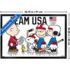 Trends International Team USA x Peanuts – Olympic Hockey Team Framed Wall Poster Prints - 3 of 4