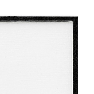 Black Framed Wildlife Perched Bird Canvas Print, 24" x 30"