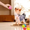 Alilang Pet Squeaky Latex Toy Set with Funny Faces Durable BPA-Free Eco-Friendly Design for Small and Medium Dogs- 6 Pack - 2 of 4