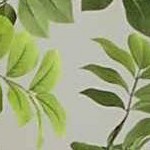 pearl, brick red, dark purple