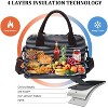 Paaaawaters Lunch Bag for Women Men Insulated Reusable Large Lunch Box Adult Striped Leakproof Portable Cooler Tote Bags for school - 4 of 4