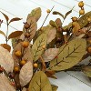 Attop 20'' Fall Wreath Autumn Wreath for Front Door with Brown Magnolia Leaves and Small Pomegranate Fruits for Home Outdoor Decoration - 4 of 4