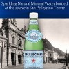 San Pellegrino Sparkling Natural Mineral Water - 12pk/16.9 fl oz Bottles - 3 of 4