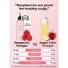 A'PIEU Raspberry Hair Vinegar [200mL / 6.76 oz] Hair Treatment for Hair Shine & Scalp Health | UPC: 8809581441224 - 3 of 3