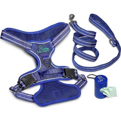 Gm Harness Leash Poo Bag Holder Set