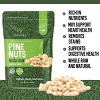 Herbaila Raw Pine Nuts, 8 oz – All Natural, Gluten-Free Pignoli Nuts for Pesto, Baking & Cooking, Grown in USA - 3 of 4