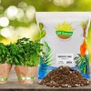 Soil Sunrise Potting Soil w/ Mycorrhizae, Fantastic Fungi Potting Soil Mix, All-Natural - 2 of 4