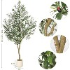 5 FT Olive Trees Artificial Indoor, Realistic Potted Silk Artificial Olive Tree, with Natural Wood Trunk and Lifelike Fruits, for Home, 1 Pack - 2 of 4