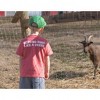 John Deere T-Shirt - 3 of 4